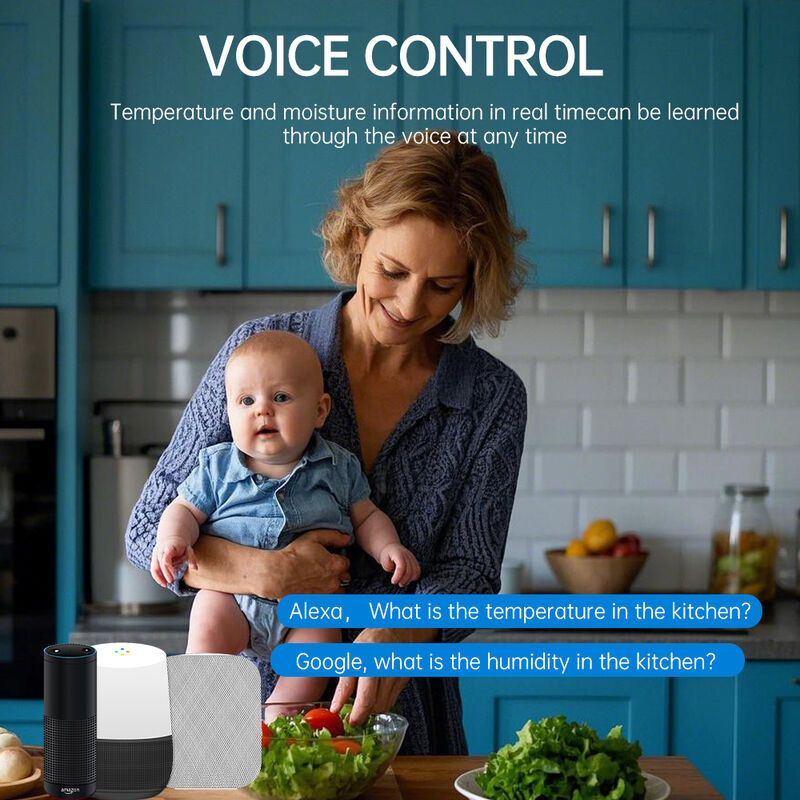 SIXWGH Tuya WiFi Умный датчик температуры и влажности с голосовым управлением Alexa/Google, хранение данных за 30 дней, электрический для домашней автоматизации